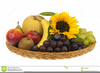 Fruit Basket Clipart Image