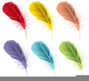 Free Clipart Of Feathers Image