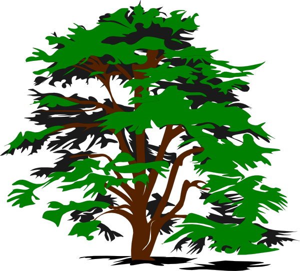 clipart of a tree with leaves - photo #24
