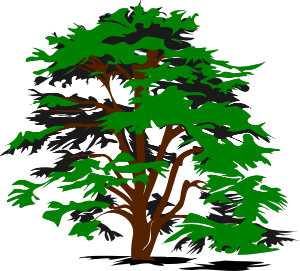 tree drawing clip art - photo #16