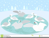 Seven Swans A Swimming Clipart Image