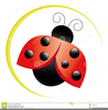 Royalty Free Ladybug Clipart Image