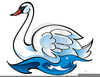 Flying Swan Clipart Image