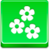 Flowers Icon Image