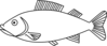 Fish 22 Clip Art