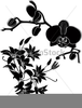 Orchid Clipart Black And White Image