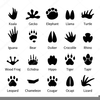 Clipart Foot Paw Prints Image