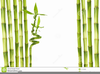 Bamboo Borders Or Clipart Image