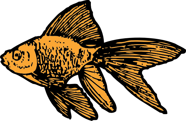dead goldfish cartoon. Goldfish clip art