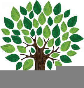 Mayo Clinic Clipart | Free Images at Clker.com - vector clip art online