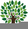 Mayo Clinic Clipart Image