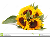 Sunflower Bouquet Clipart Image