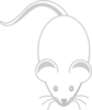 White Mouse Grey Outline Clip Art
