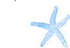 Starfish Single Clip Art