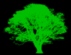 Tree, Green Silhouette, Black Background Clip Art