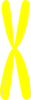 Yellow Chromosome Clip Art