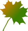 Orange Green Maple Leaf Clip Art