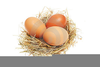 Clipart Nest Egg Image