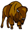 Bison Clip Art