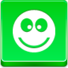 Ok Smile Icon Image