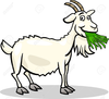 Free Clipart Of Goats Image
