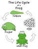 Life Cycle Clipart Image