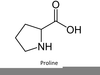 Proline Amino Acid Image