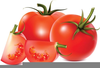 Free Tomato Border Clipart Image