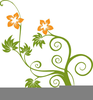 Clipart Floral Designs Image