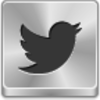 Twitter Bird Icon Image