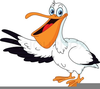 Pelican Cartoon Clipart Image