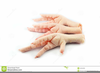 Chicken Foot Clipart Image