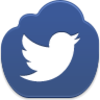 Twitter Bird Icon Image