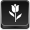 Tulip Icon Image