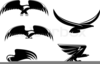 Falcon Model Clipart Image