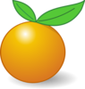 Orange Clip Art