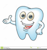 Tooth Plaque Clipart Image