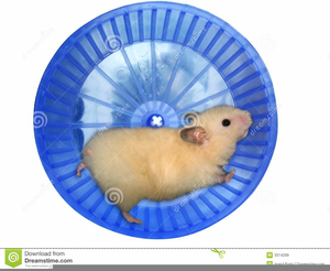 Free Clipart Hamster Wheel Image