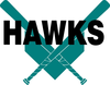 Hawks Image