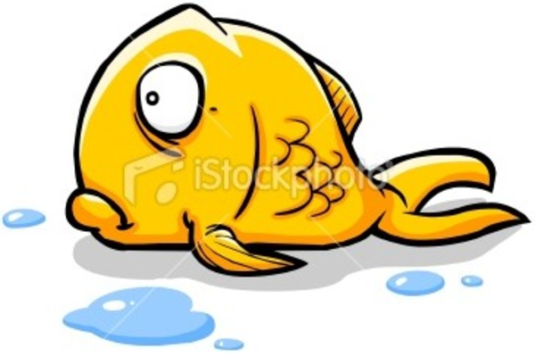 clipart of fish in water - photo #3