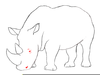 Rhino Drawing Image