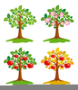Free Clipart Think Spring Image