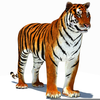 Free Tiger Clipart Images Image