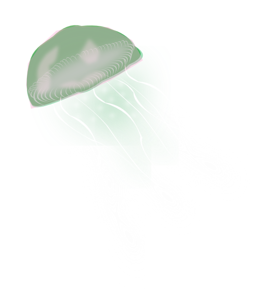 jellyfish clipart free - photo #46