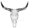 Clipart Cow Skulls Image