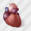 Icon Heart 1 Image