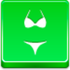 Bikini Icon Image