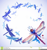 Dragonfly Clipart Illustration Image