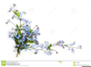 Forget Me Not Flowers Clipart Image