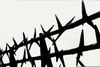 Barb Wire Fence Clipart Image
